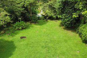 Prime Residential Land in Ojochal